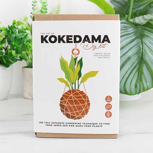 The Art of Kokedama - DIY Kit