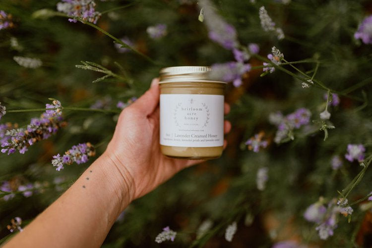 Lavender Creamed Honey (8 oz) - Heirloom Acre Honey